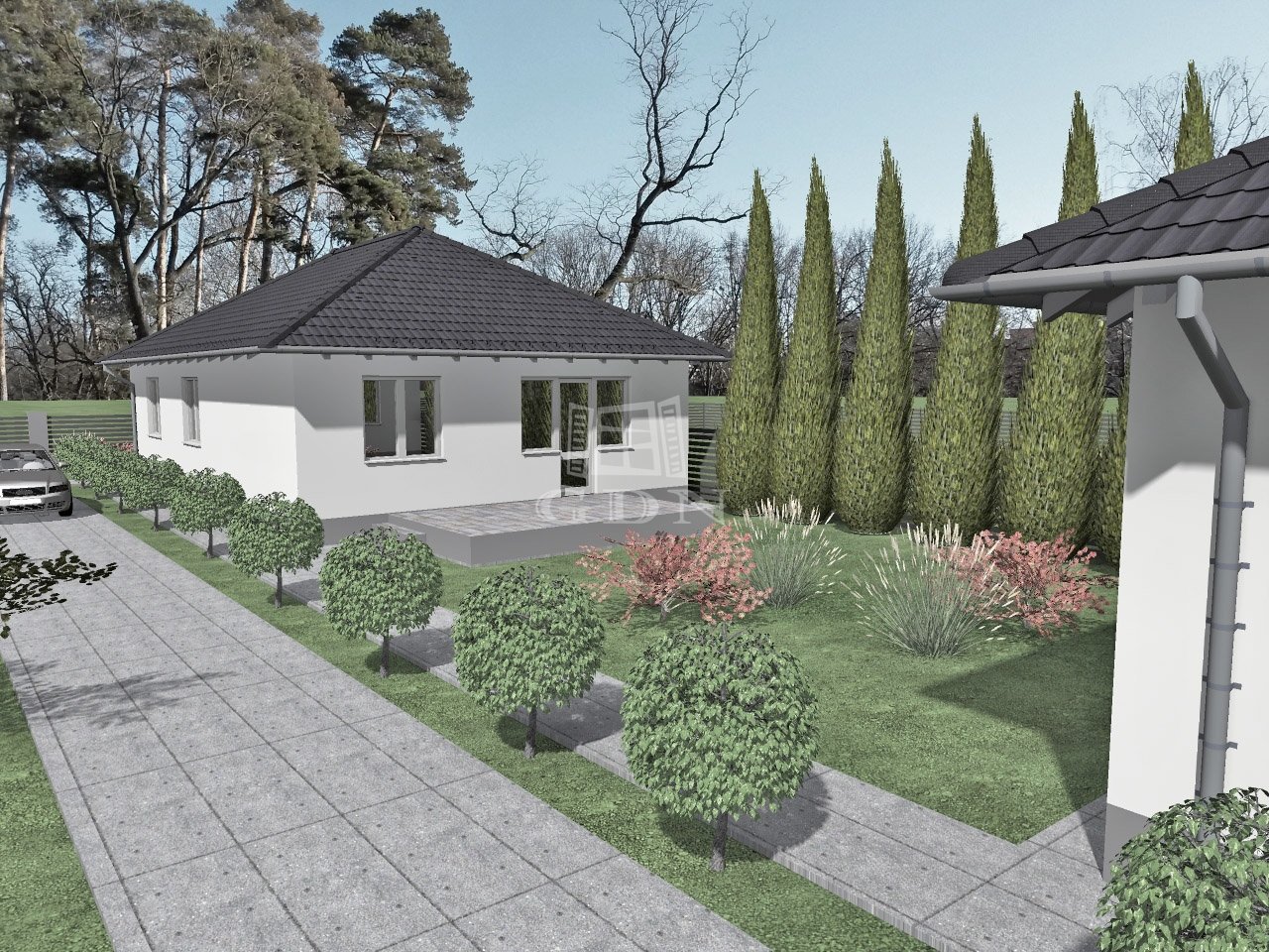 Main Image