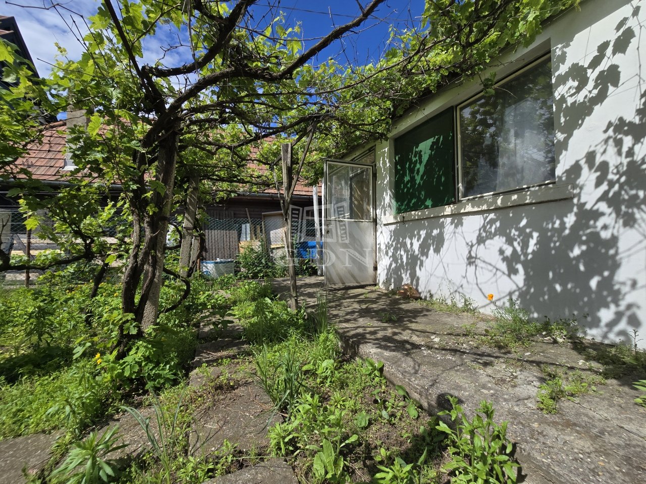 Small Image 1