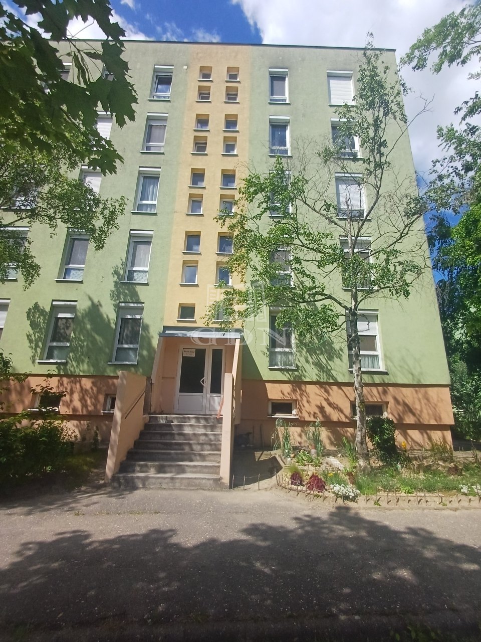 Small Image 1